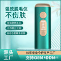 New arrival freezing point hair removal instrument for home whole body painless private parts hair removal instrument beauty strong light pulse hair removal device wholesale