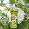 wild tea seed oil facial and body massage oil emollient plant open back scraping massage compound essential oil b bottle
