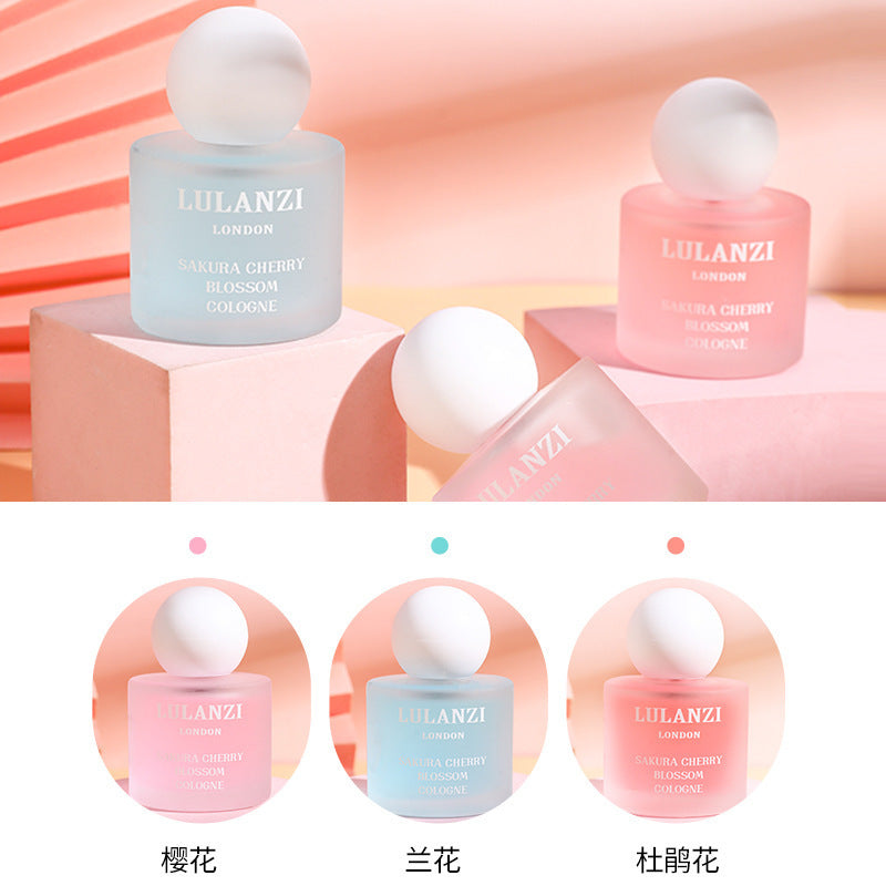 Lulanzi sakura rhododendron orchid perfume women's long-lasting eau de toilette niche student gift set vietnam wholesale
