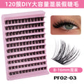 Pf02-03-120 cluster