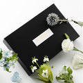 Li fei elegance knight men's perfume blue wild three-piece gift box long-lasting fragrance manufacturer wholesale