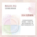Novo soft focus iridescent quad loose powder - setting, oil control, concealing, long-lasting, waterproof, non-caking, natural finish