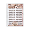 Jonbos self-adhesive glue-free false eyelashes - cocoa brown cat eye natural style, born-with-it curl, segmented individual cluster lashes