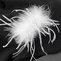 Pure desire ins style ostrich feather hairpin, back of the head, hair clip, headwear, shark clip, super fairy, high-end hair accessories