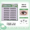 Tbp-07(sunflower)