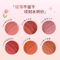 Novo water mist lip gauze lip glaze matte matte waterproof non-fading non-stick cup gentle daily no makeup whitening lipstick