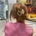Special-shaped shark clip for women fall and winter popular 2022 new arrival clip high ponytail hair clip back of head hair accessories