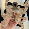 Autumn/winter acrylic bow geometric hair clip for women, 2024 new high-end claw clip, large ribbon shark clip