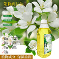 Leo yanmei mugwort oil coconut body oil gua sha massage ginger essential oil vc massage oil full body hair care essential oil