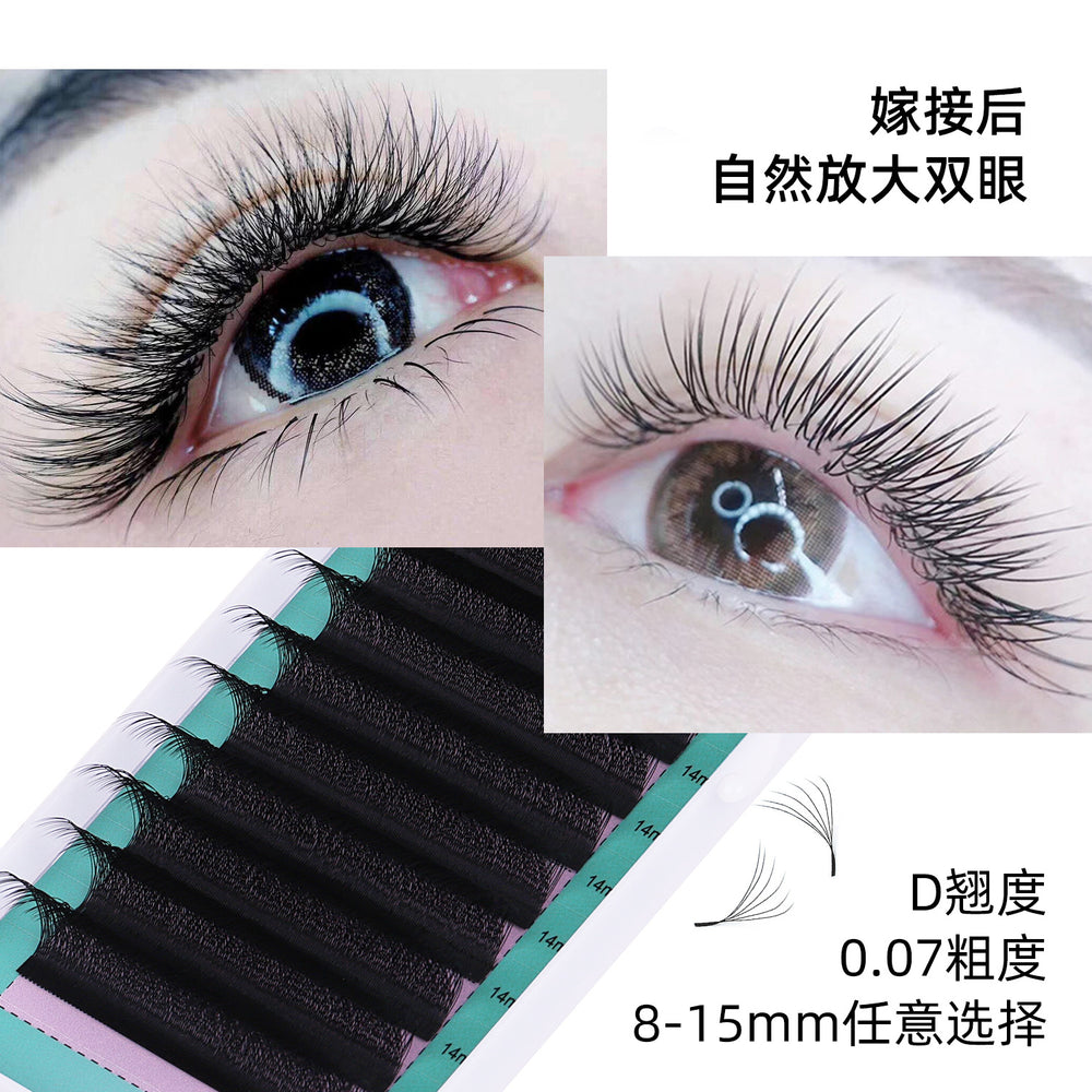 European and american style self-applying eyelash extensions 0.07 black matte d curl soft 6d w shape eye beauty false eyelashes semi-permanent