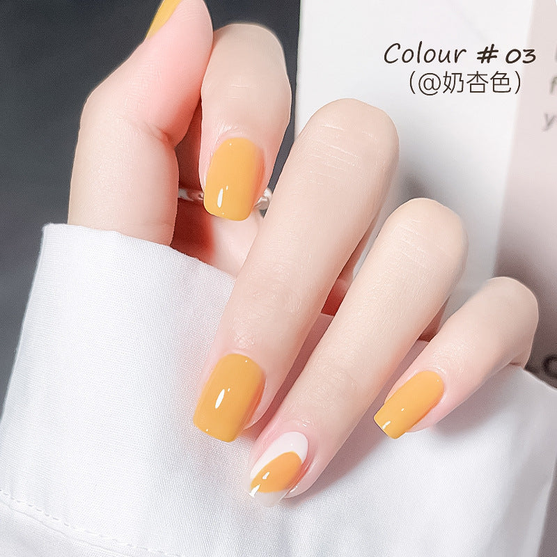 Fall and winter transparent nude bell water-based nail polish no baking quick drying long-lasting non-peelable jelly nail salon nail polish