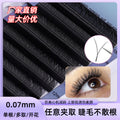 Eyelash implantation yy grafting eyelashes d curl matte black baby curl soft nature artificial eyelashes extension beauty