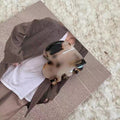 Casualeasiest for match rhinestone gripper female elegantfashion back of head half-tied gripper hair clip new arrivalkorean style side clip headwear