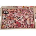 Purple hair clips - 50 piece set: cute hair clips, sweet & girly bang clips, japanese style cartoon hair accessories